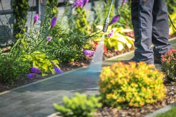 Trusted Mountain Lakes, NJ Pressure Washing Services Experts